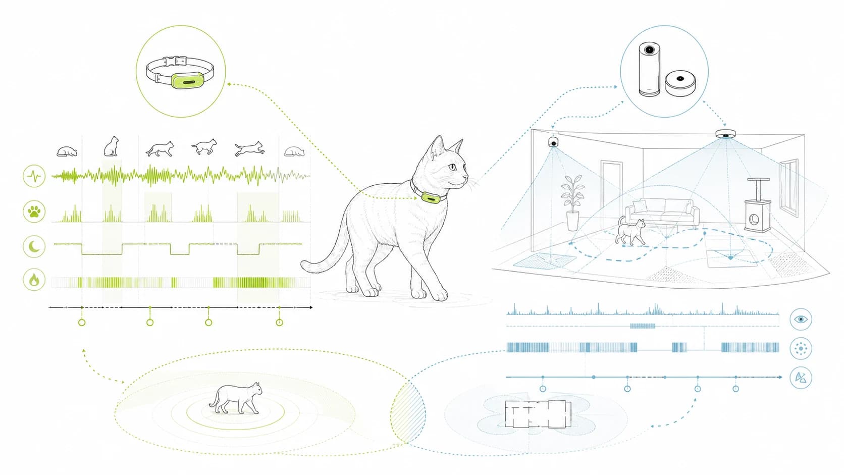 Diagram comparing wearable activity tracking with ambient room sensing for feline behavior